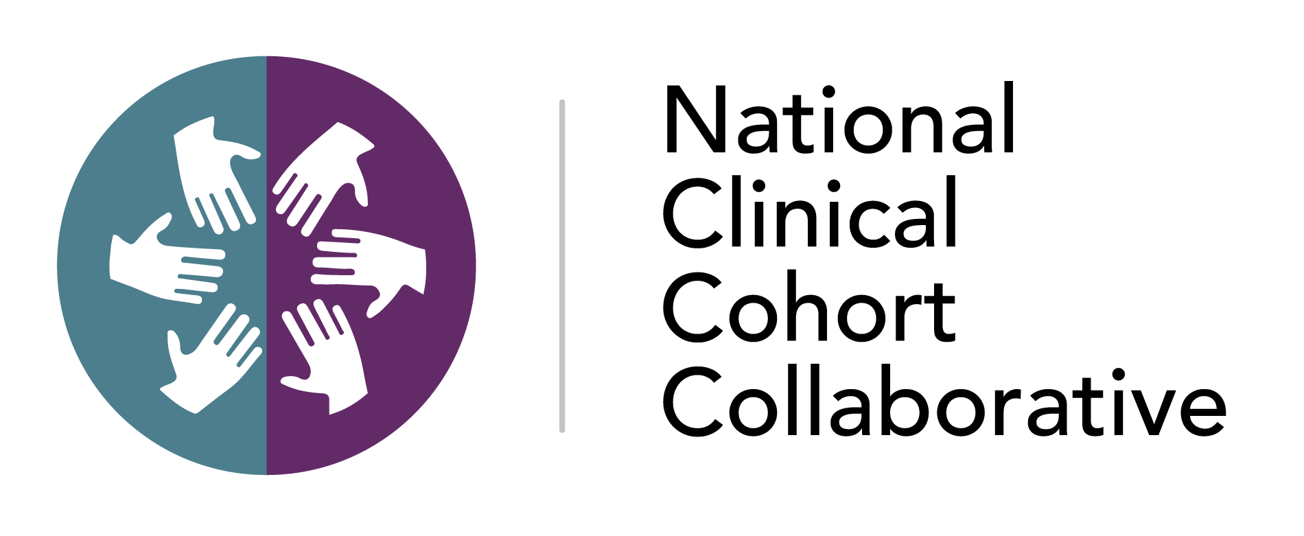 N3C logo
